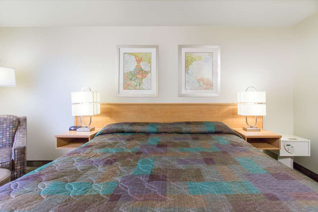 Super 8 Lacey Olympia Area - thumb 5