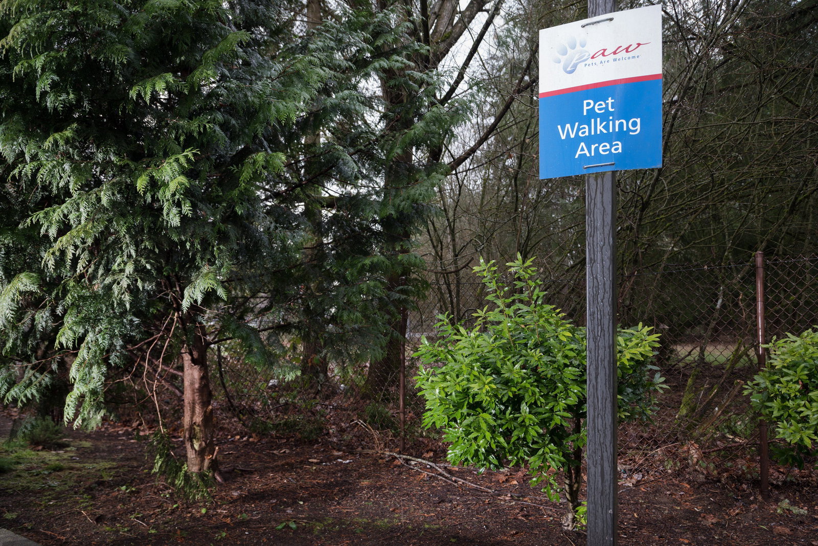 Candlewood Suites Olympia/Lacey - thumb 2