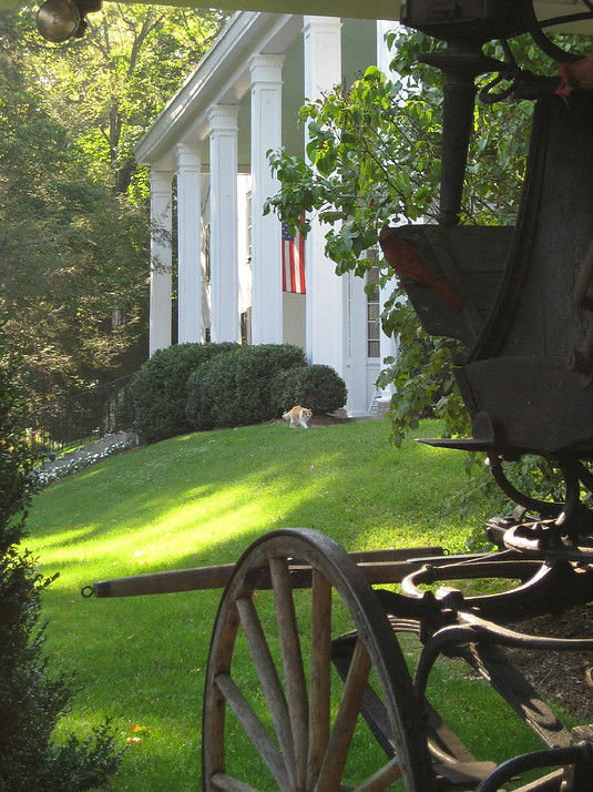 The General Lewis Inn - thumb 0