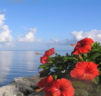 Blackfin Resort and Marina - Tourism Bookings