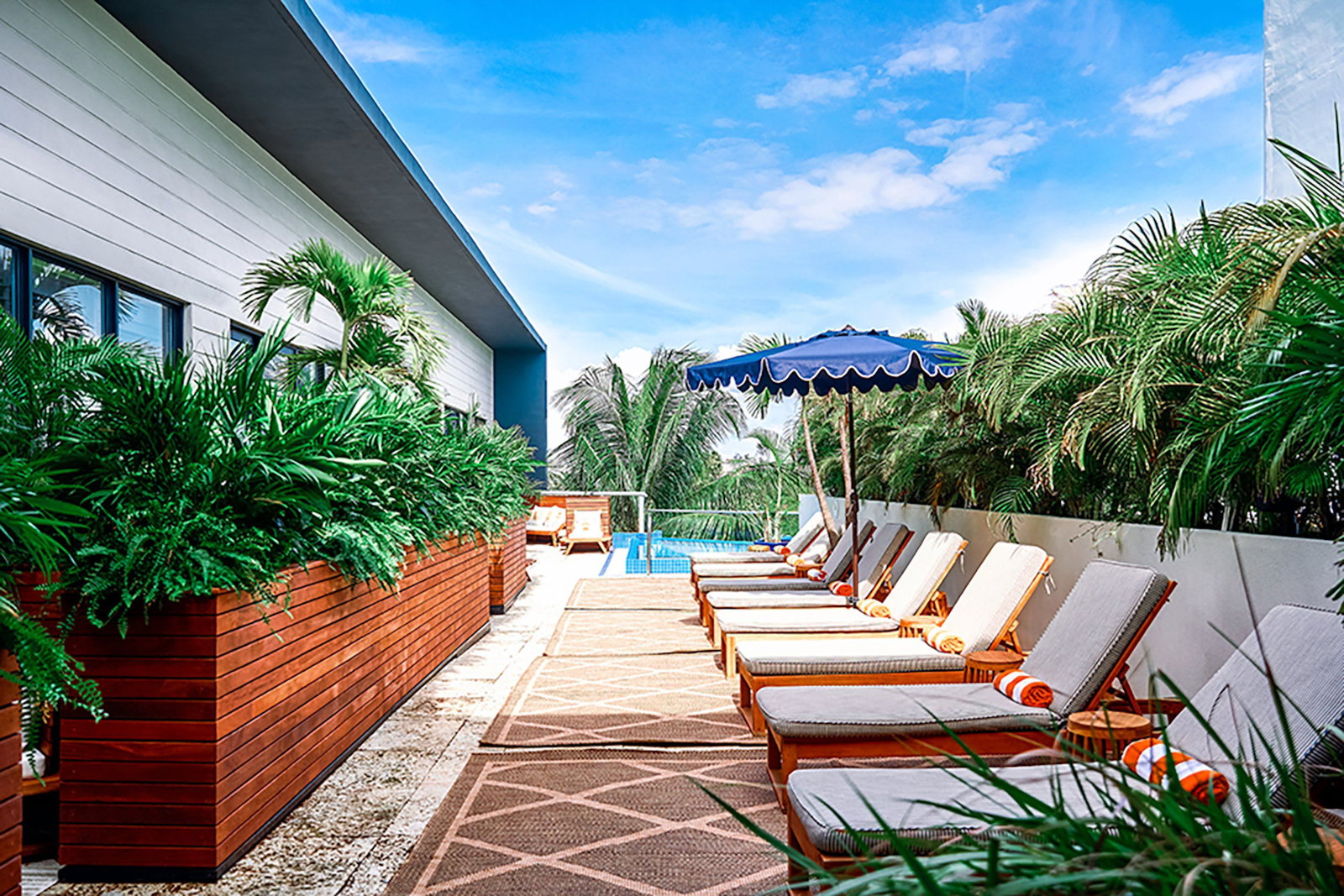 KAYAK Miami Beach - thumb 2