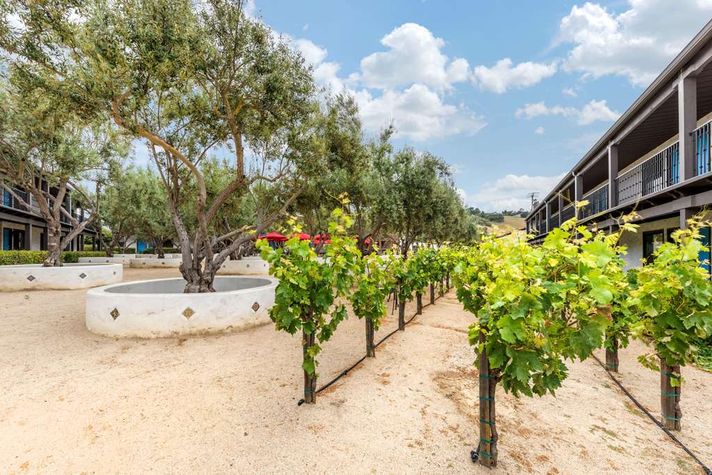 Hacienda De Leal - thumb 16