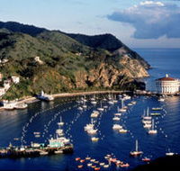 Snug Harbor Inn - Tourism Bookings