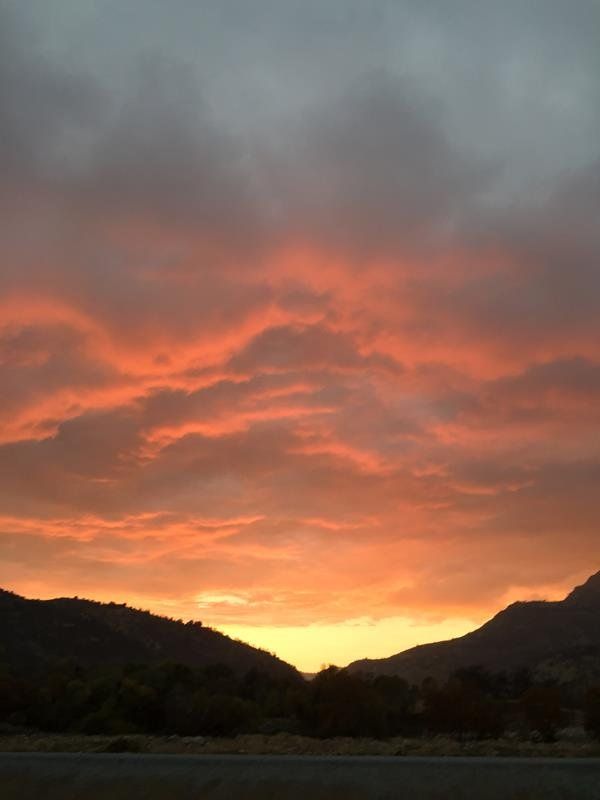 Western Holiday Lodge Three Rivers - thumb 14