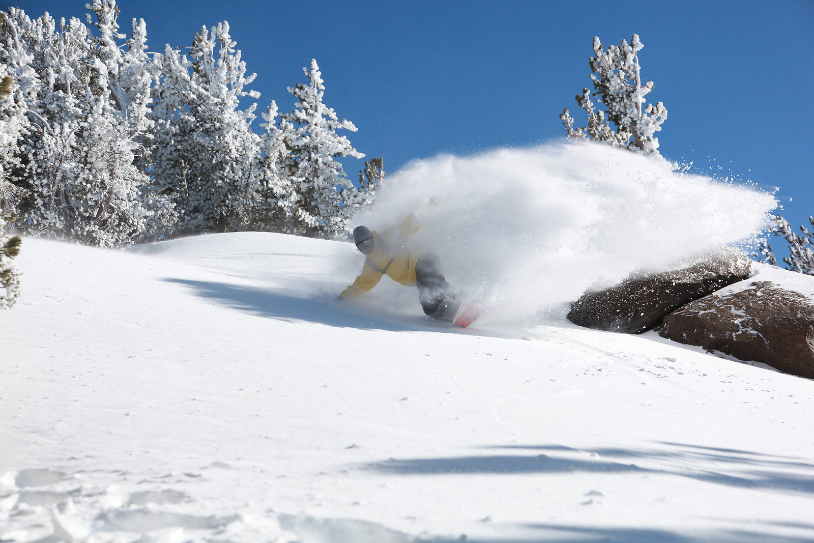 Juniper Springs Lodge - thumb 12