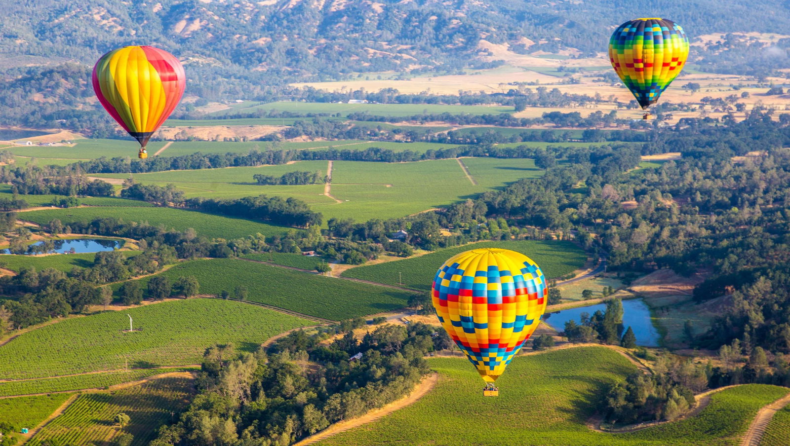 Napa Discovery Inn - thumb 14