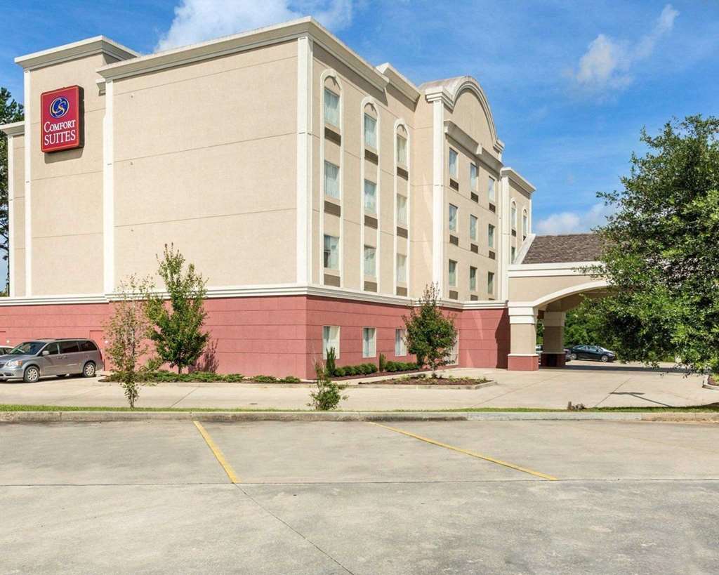Comfort Suites Covington Mandeville - thumb 0