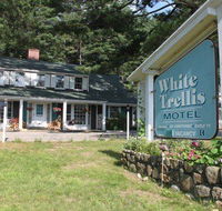 White Trellis Motel - Tourism Bookings