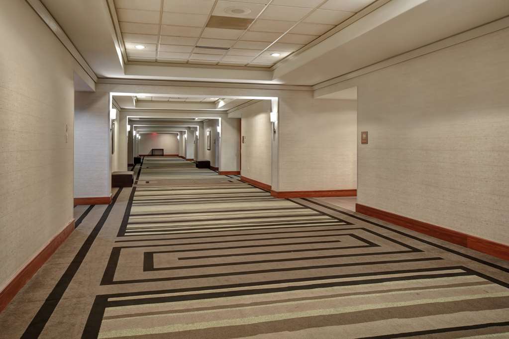 Embassy Suites Little Rock - thumb 11