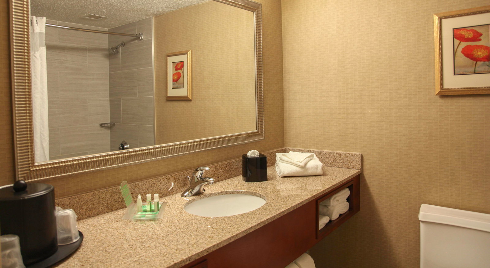 Holiday Inn Dayton-Fairborn - thumb 5