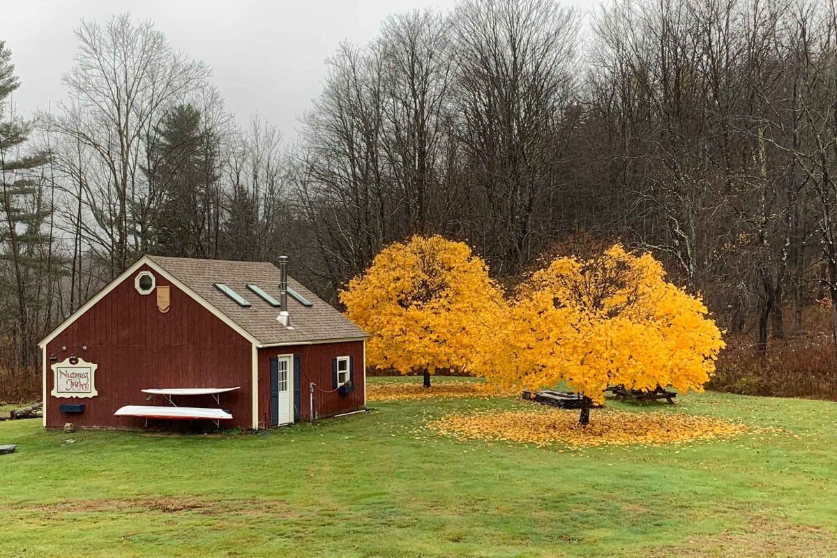 The Nutmeg Vermont - thumb 0