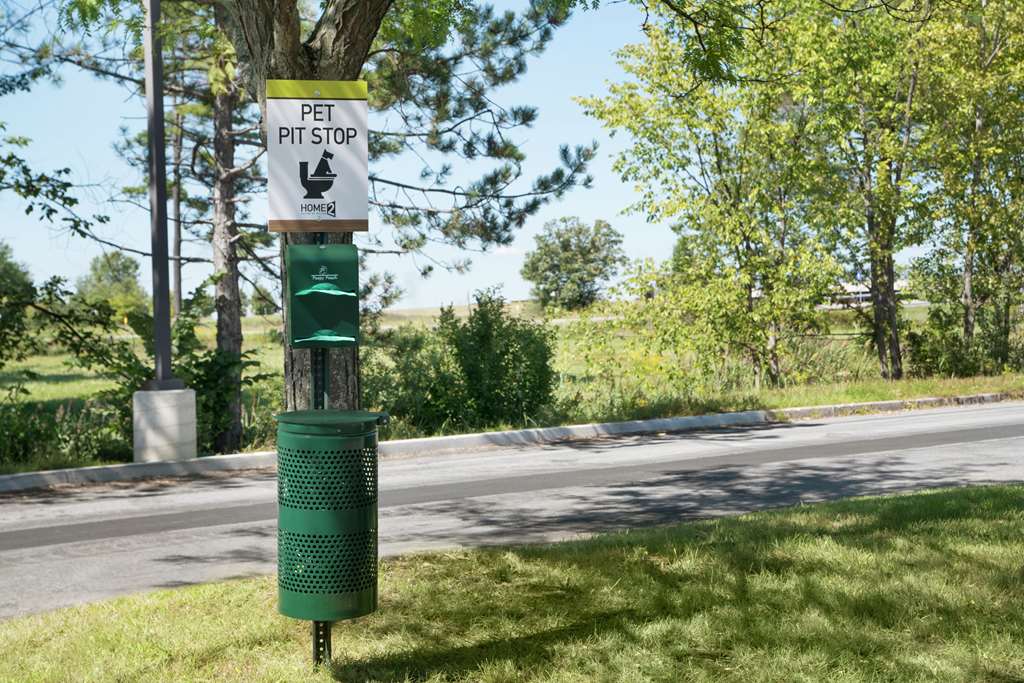 Home2 Suites By Hilton Saratoga/Malta - thumb 2