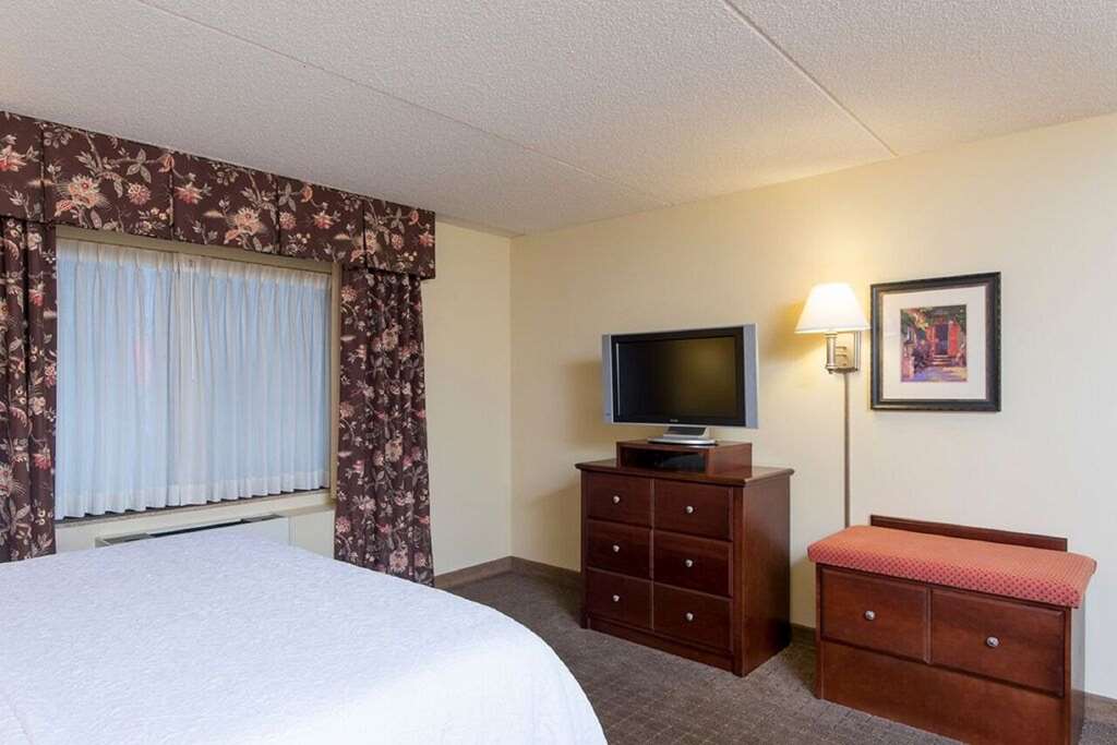 Hampton Inn Schenectady - thumb 3