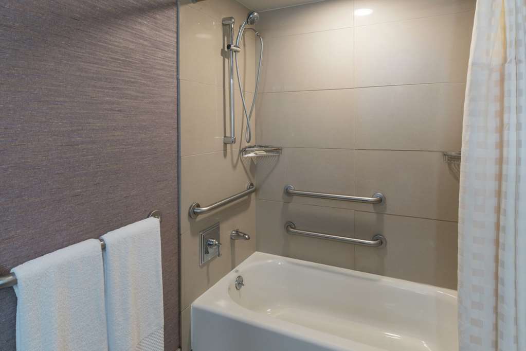 The Saratoga Hilton - thumb 6