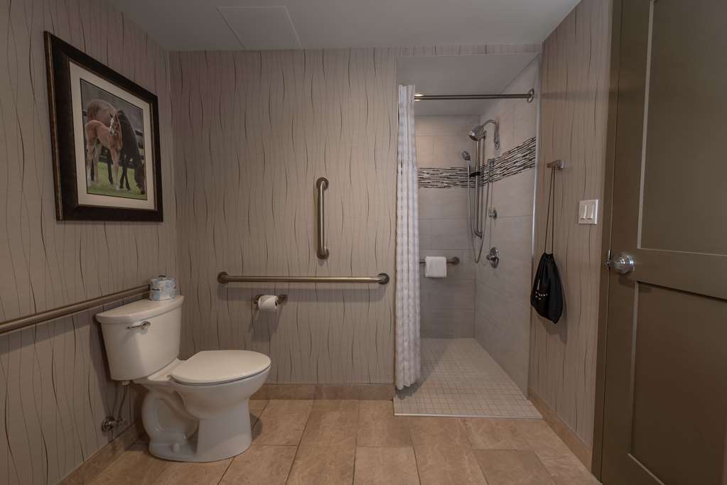 Embassy Suites Saratoga Springs - thumb 6