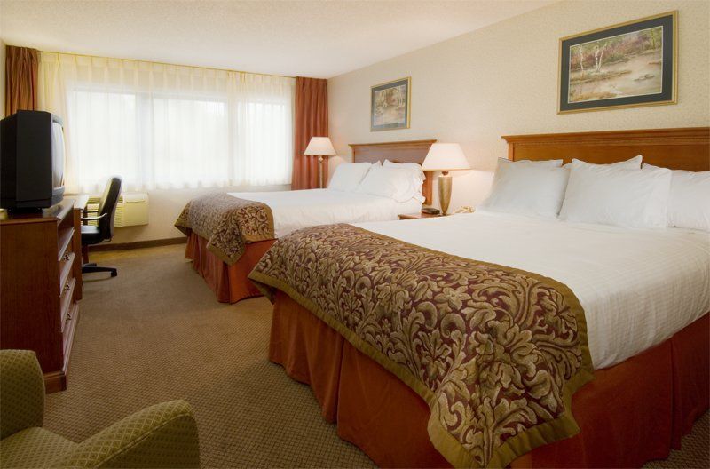 Carlton Lodge Adrian - thumb 3