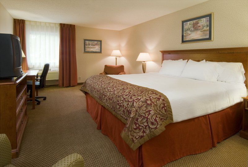 Carlton Lodge Adrian - thumb 4