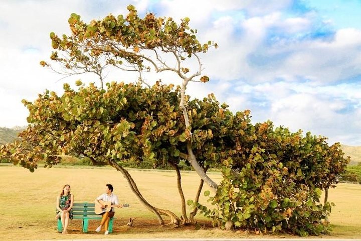 Private Circle Island Sunset Photo Tour - thumb 4