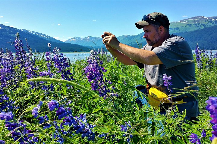 Wilderness, Wildlife, Glacier Experience From Anchorage - thumb 4
