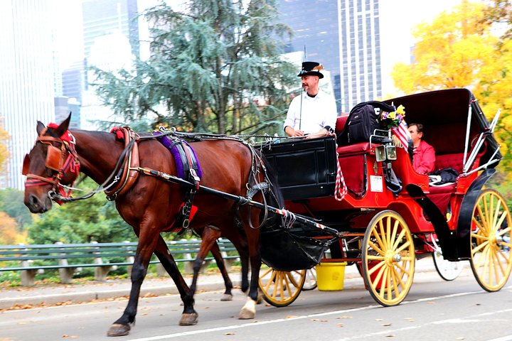 VIP Horse Carriage Ride Through Central Park In NYC With Photo Stops - thumb 1