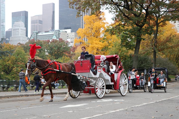 VIP Horse Carriage Ride Through Central Park In NYC With Photo Stops - thumb 2