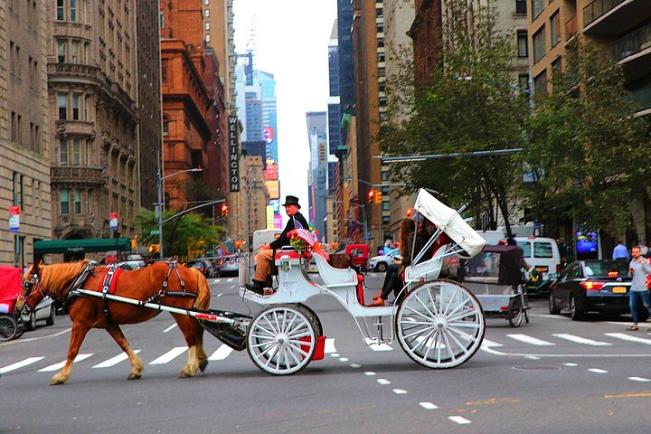 VIP Horse Carriage Ride Through Central Park In NYC With Photo Stops - thumb 5