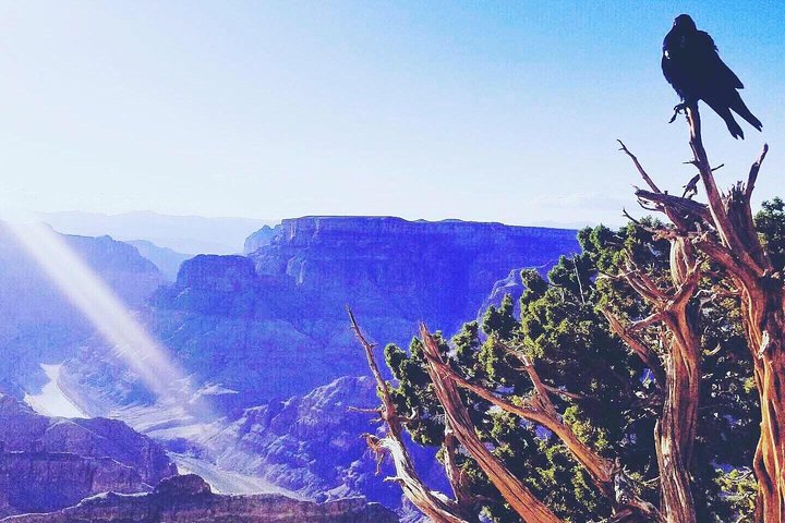 Small Group Tour Of Grand Canyon West And Hoover Dam From Las Vegas - thumb 0