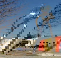 Private Dallas and JFK Tour with Local Guide - Students Accommodation