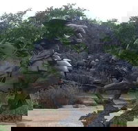 Create Your Own Dallas and Fort Worth Combination Tour - Students Accommodation