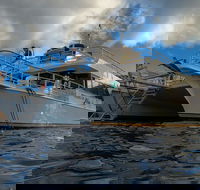 Molokini Crater and Turtle Town Snorkeling Tour from Ma'alaea Harbor - USA Accommodation