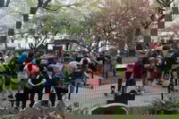 Albion Ny USA Accommodation