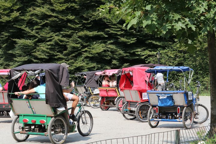 Central Park 2 - Hours Private Pedicab Guided Tour - thumb 4