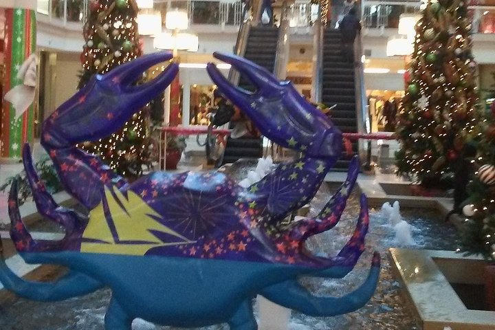 Christmas In Baltimore Tour - thumb 3