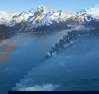 30-Minute Ocean and Glaciers Flight - Tourism Bookings