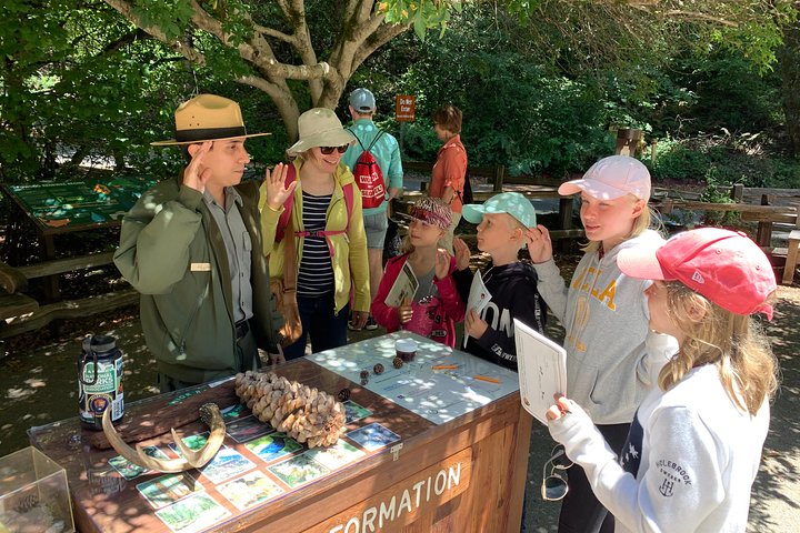 Alcatraz with Muir Woods and Sausalito Tour