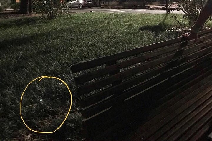 6th Sense Haunted Tour Of Key West - thumb 1