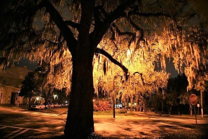6th Sense Haunted Tour Of Key West - thumb 2