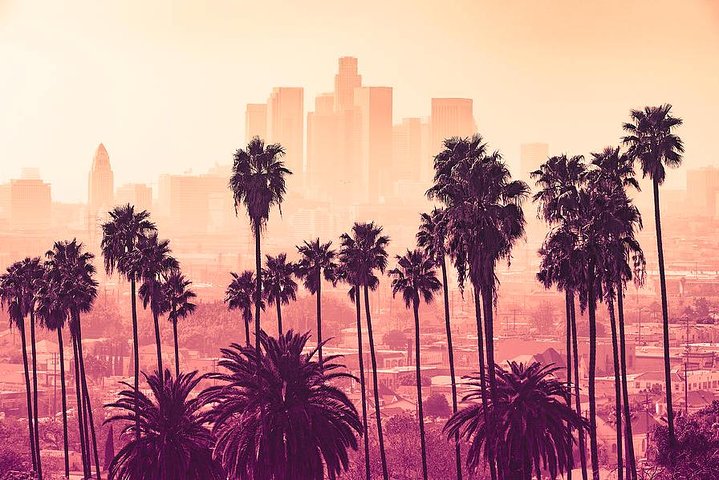 Shared 3 Hours Los Angeles VIP Tour - thumb 3