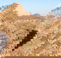 Sunrise Sonoran Desert Hot Air Balloon Ride from Phoenix - Tourism Bookings