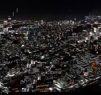 New York City Skyline Helicopter Tour and Luxury Transfer from Manhattan - Tourism Bookings