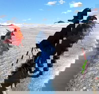 Exit Glacier Ice Hiking Adventure from Seward - Tourism Bookings