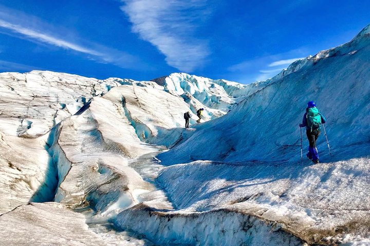 Exit Glacier Ice Hiking Adventure From Seward - thumb 4