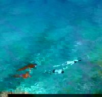 Maui Snorkeling Lani Kai - All-Inclusive 3-Hour Snorkel  Whale Watch - USA Accommodation