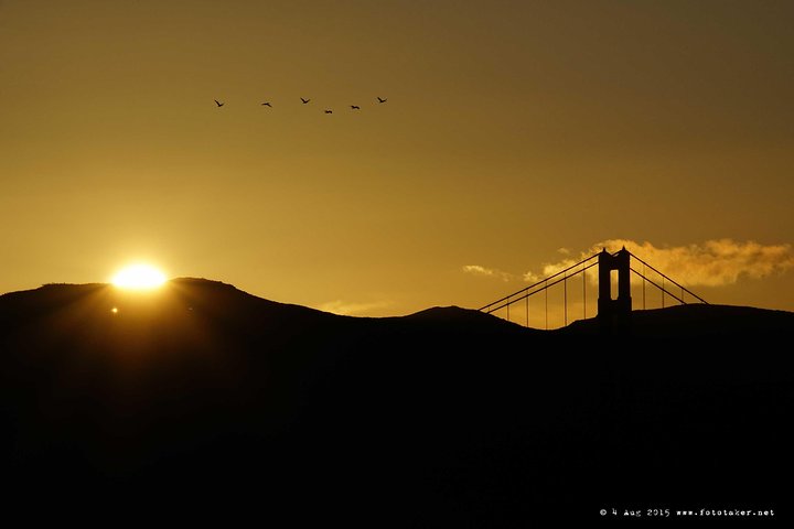 Straight To The Gate Access: San Francisco Bay Twilight Or Sunset Cruise - thumb 2