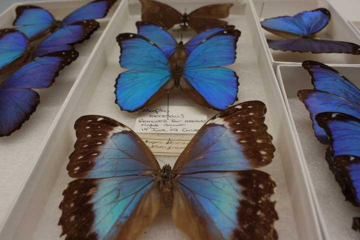 Chicago CityPASS - thumb 1