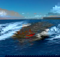 Molokini Crater plus Turtle Town Snorkeling 4-hour Tour - USA Accommodation