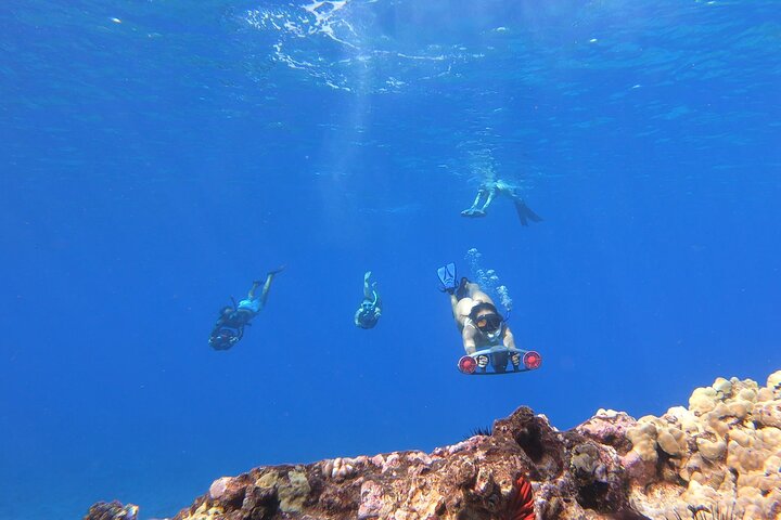 Molokini Crater Plus Turtle Town Snorkeling 4-hour Tour - thumb 3