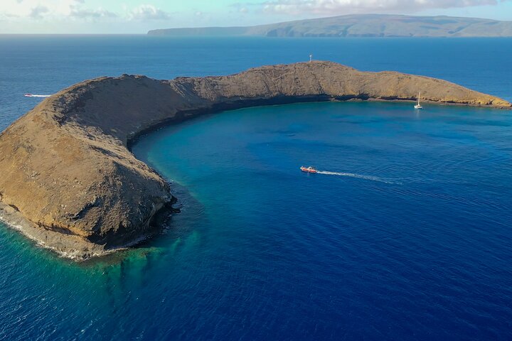 Molokini Crater Plus Turtle Town Snorkeling 4-hour Tour - thumb 4