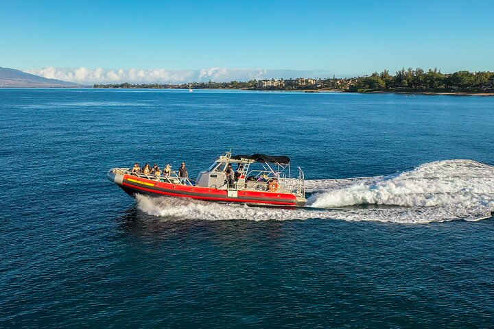 Molokini Crater Plus Turtle Town Snorkeling 4-hour Tour - thumb 5