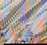 Art on the Streets Private Atlanta Public and Street Art Tour - USA Accommodation